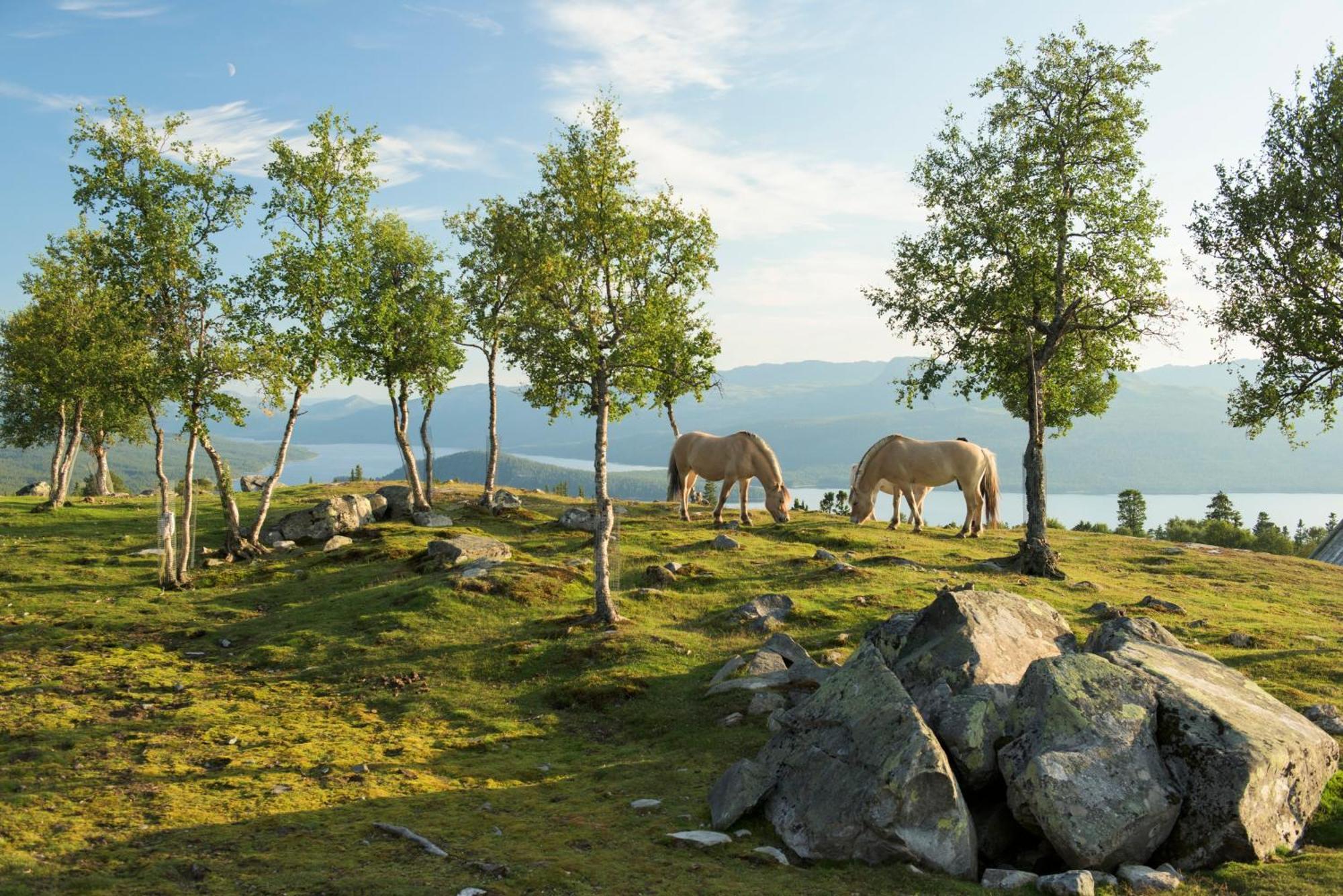 Langedrag Naturpark As Tunhovd Exterior photo